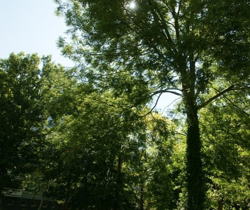 Rutger van Keulenstraat 61, Rotterdam