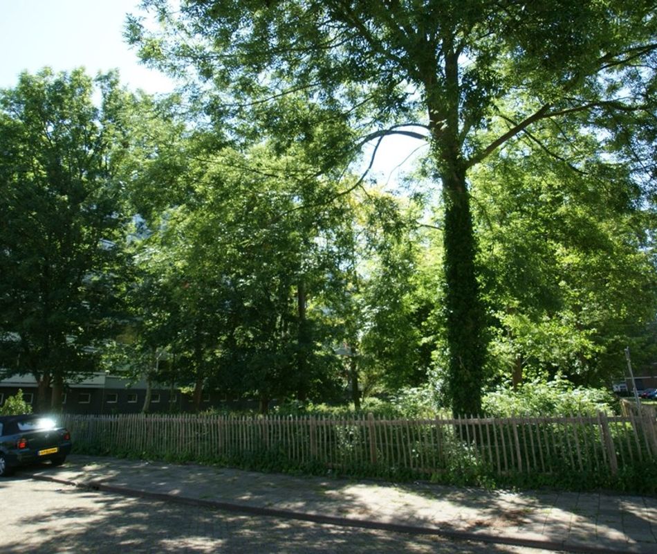 Rutger van Keulenstraat 61, Rotterdam