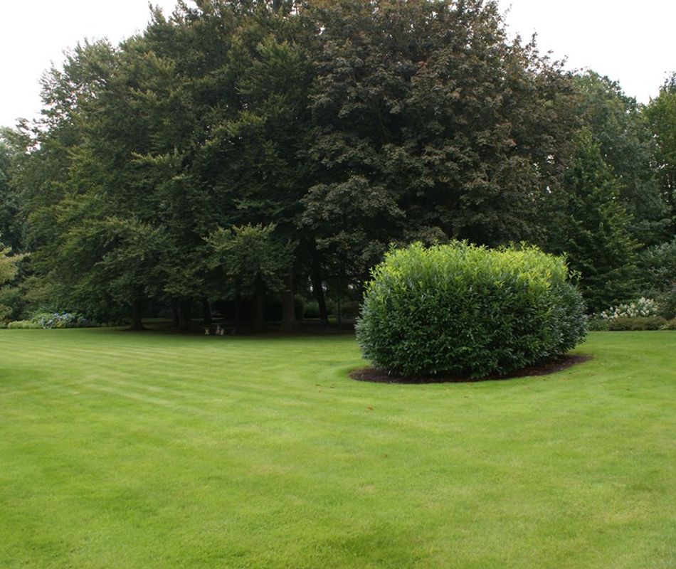 Beukenhorst 102, Driebergen-Rijsenburg