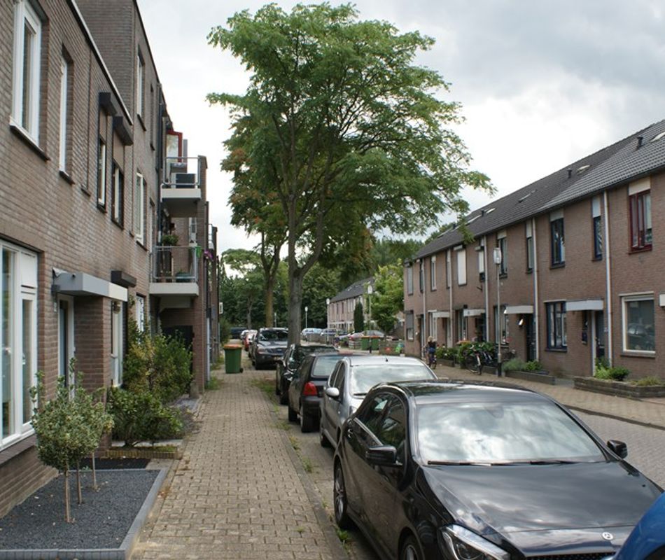 Pieternel Koomansstraat 50, Breda