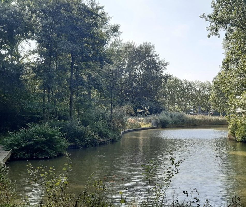 Ocarinalaan 718, Rijswijk