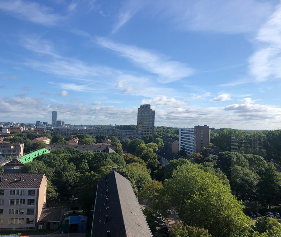 Ocarinalaan 718, Rijswijk