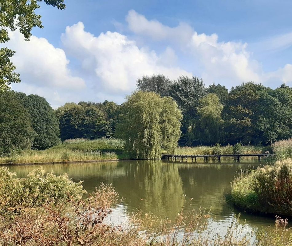 Ocarinalaan 718, Rijswijk