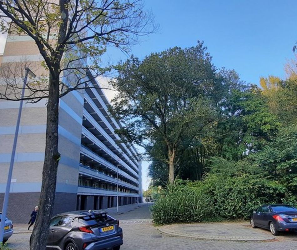 Everaertstraat 91, Rotterdam