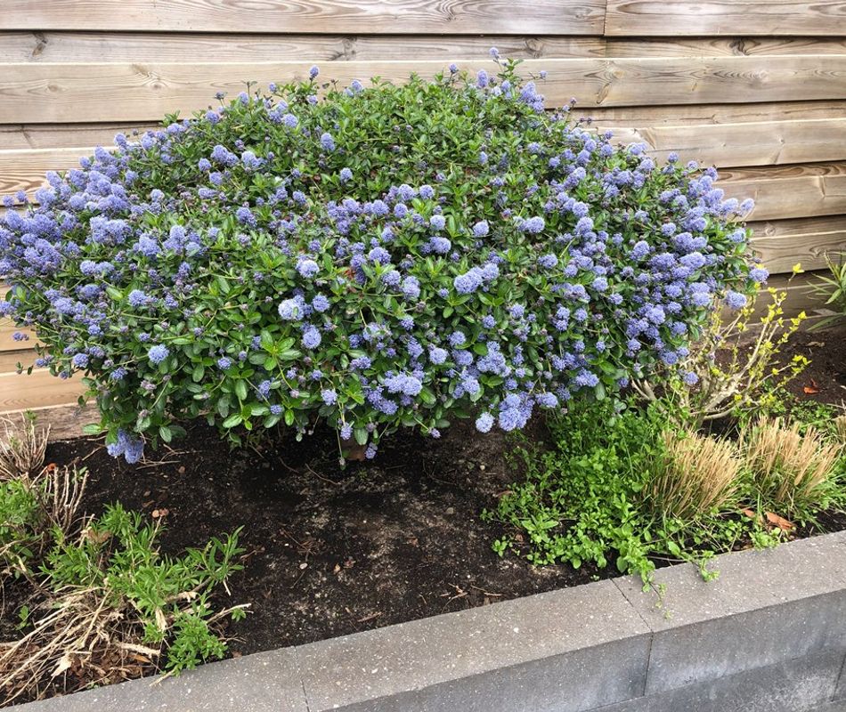 Socrateshof 3, Huizen