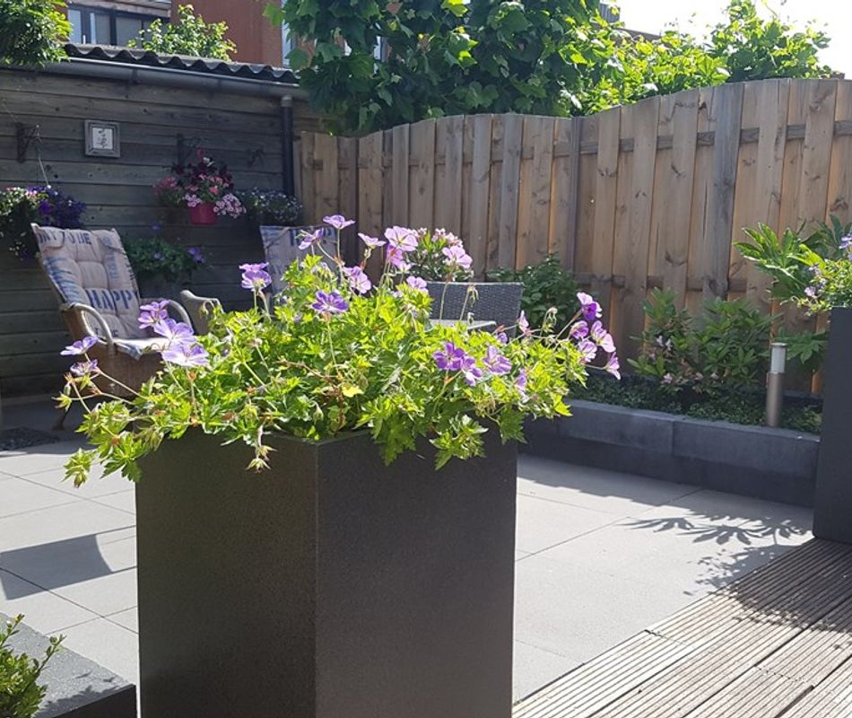 Socrateshof 3, Huizen