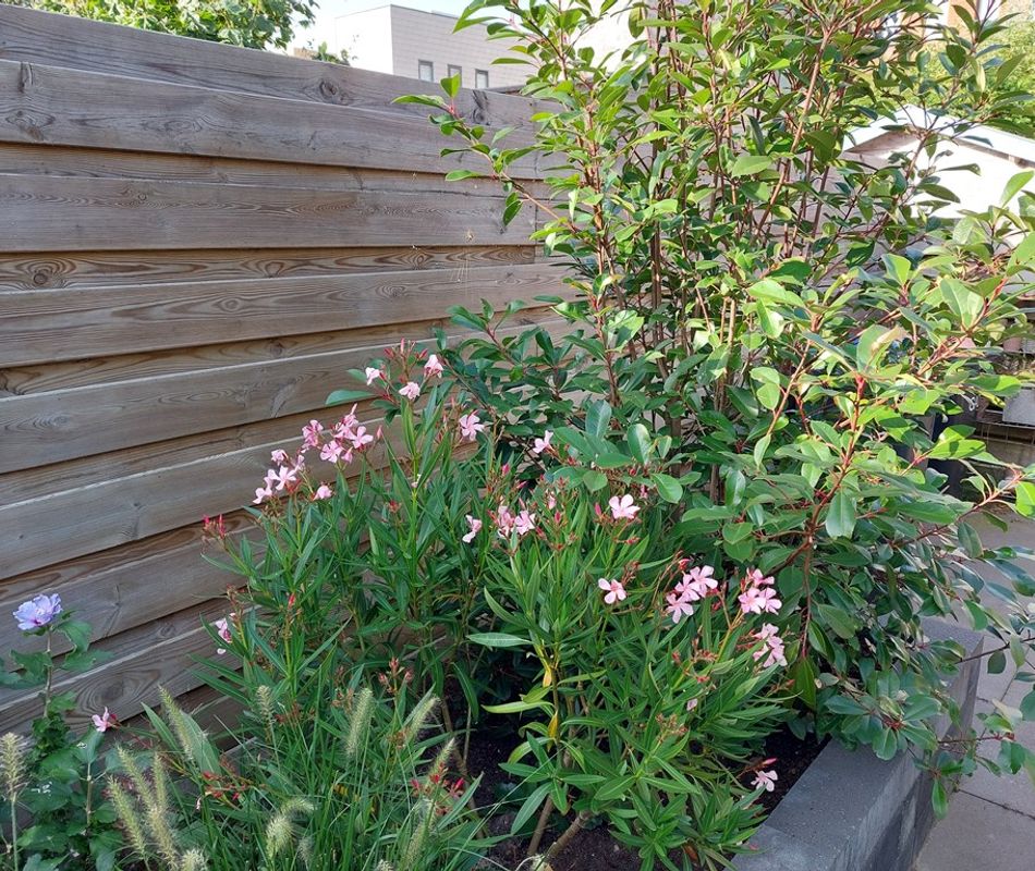 Socrateshof 3, Huizen