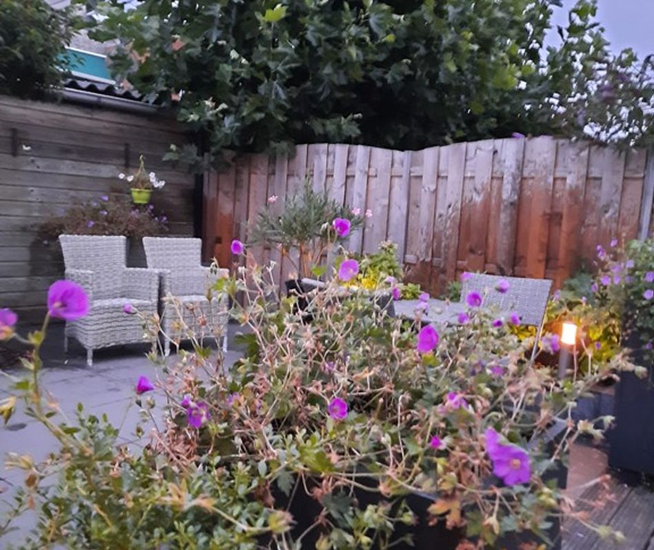 Socrateshof 3, Huizen