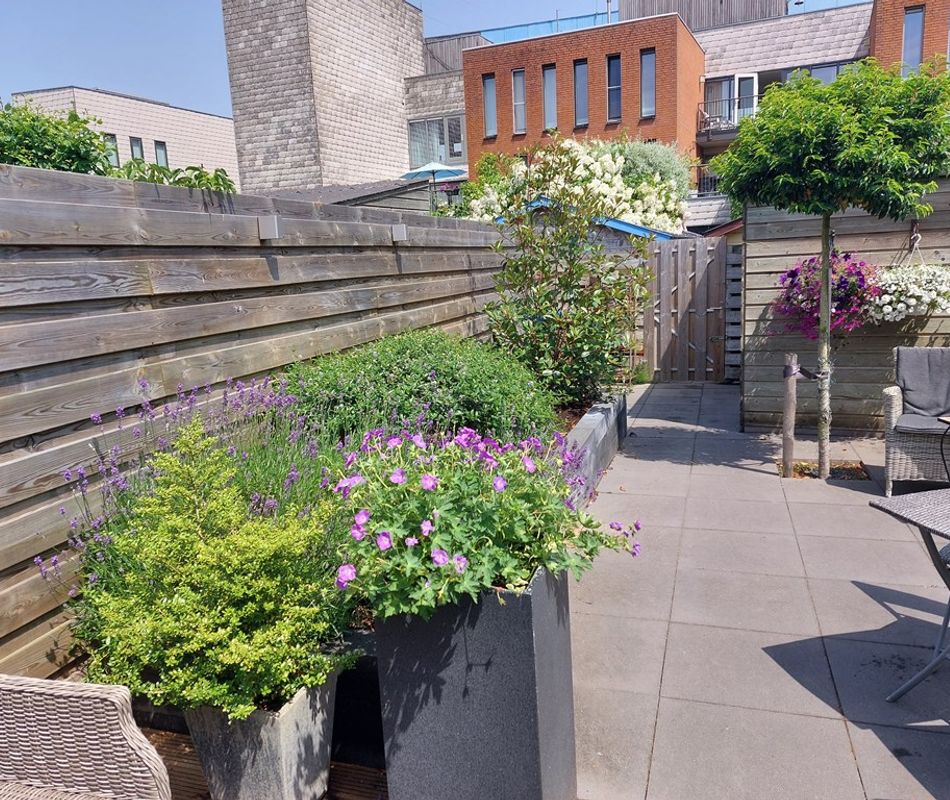 Socrateshof 3, Huizen