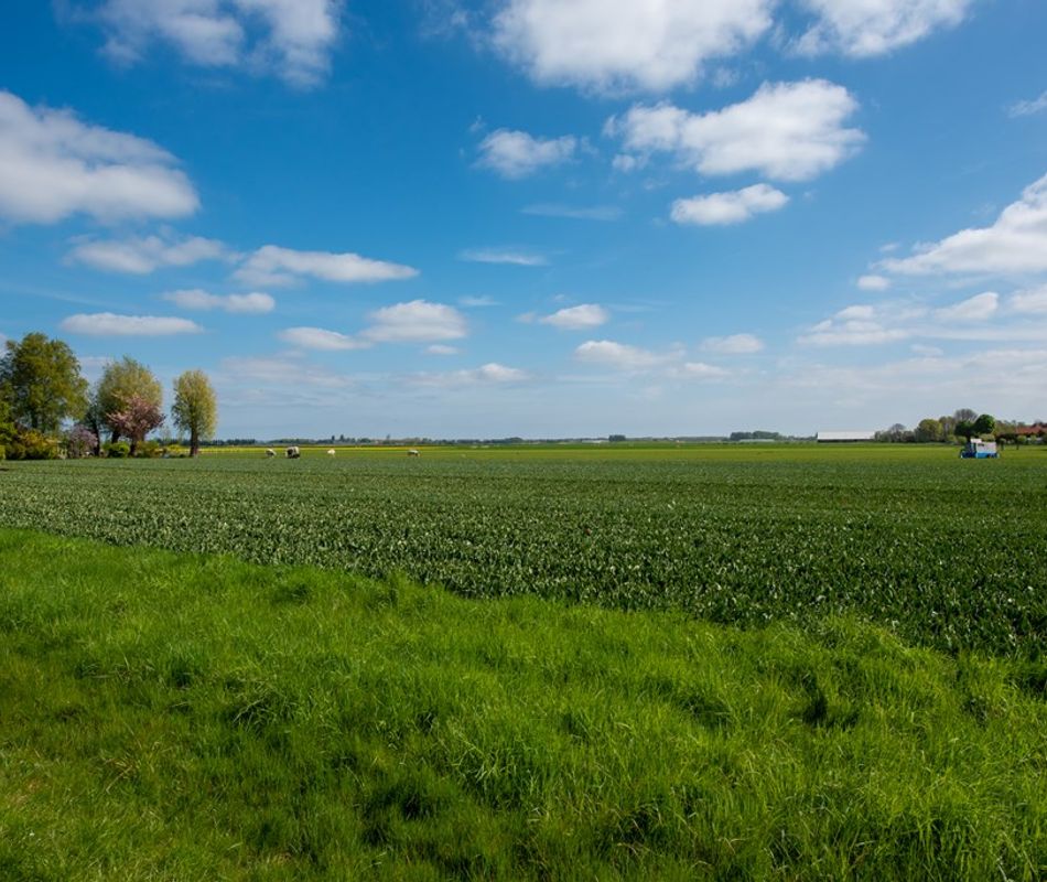 Zuidermeerweg 79, Zuidermeer