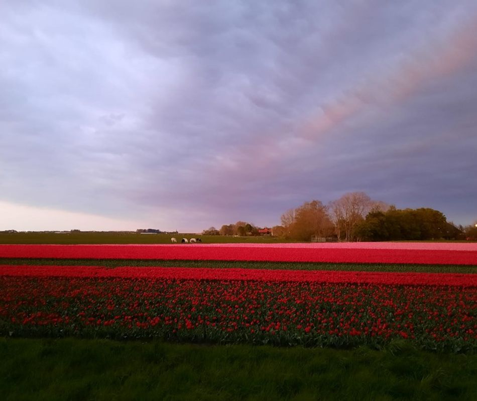 Zuidermeerweg 79, Zuidermeer