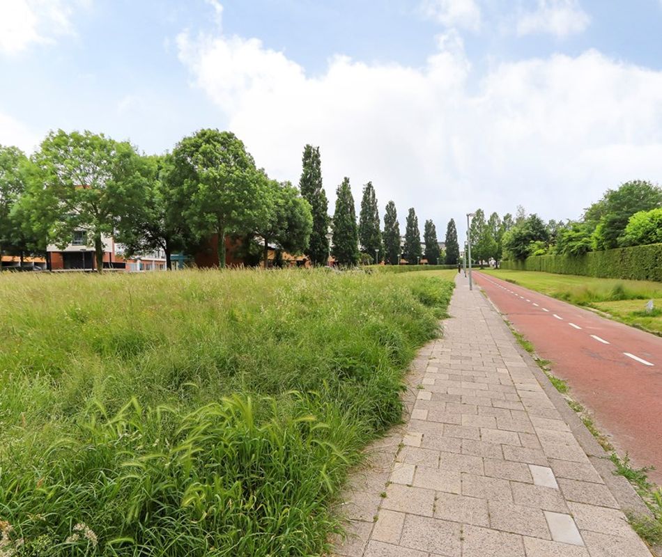 Balsa 196, Dordrecht