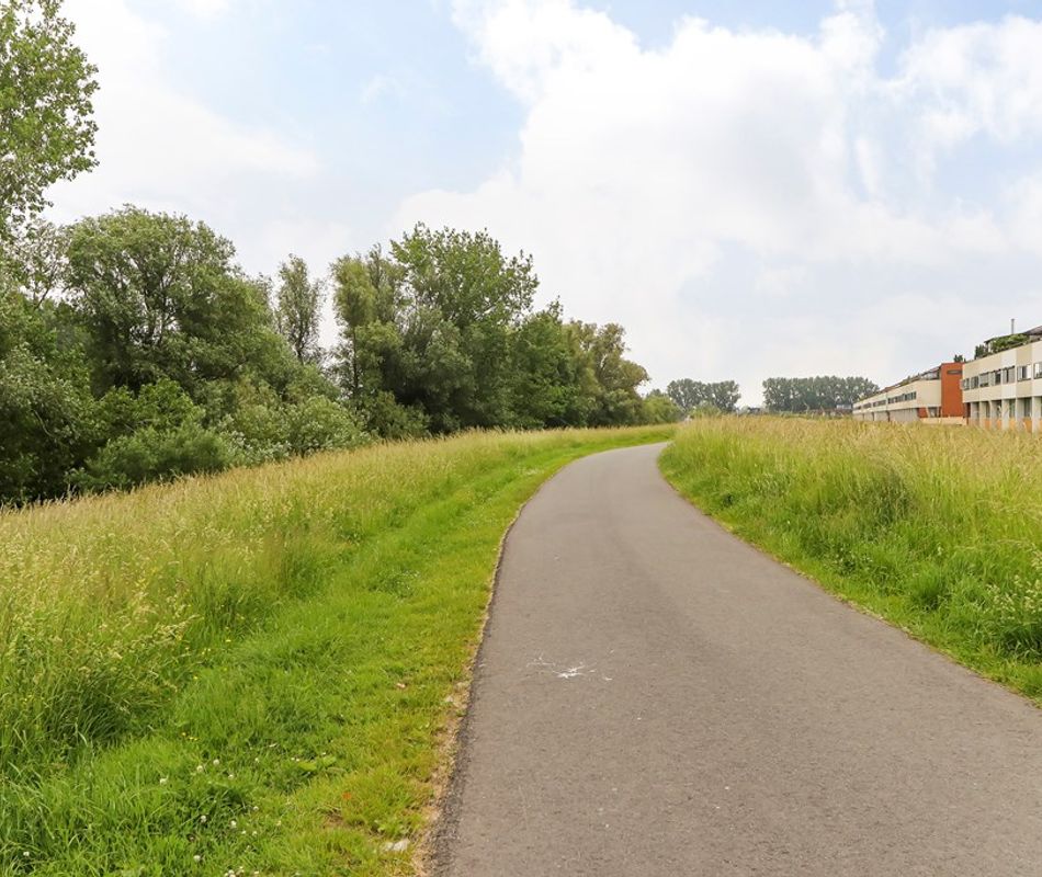 Balsa 196, Dordrecht