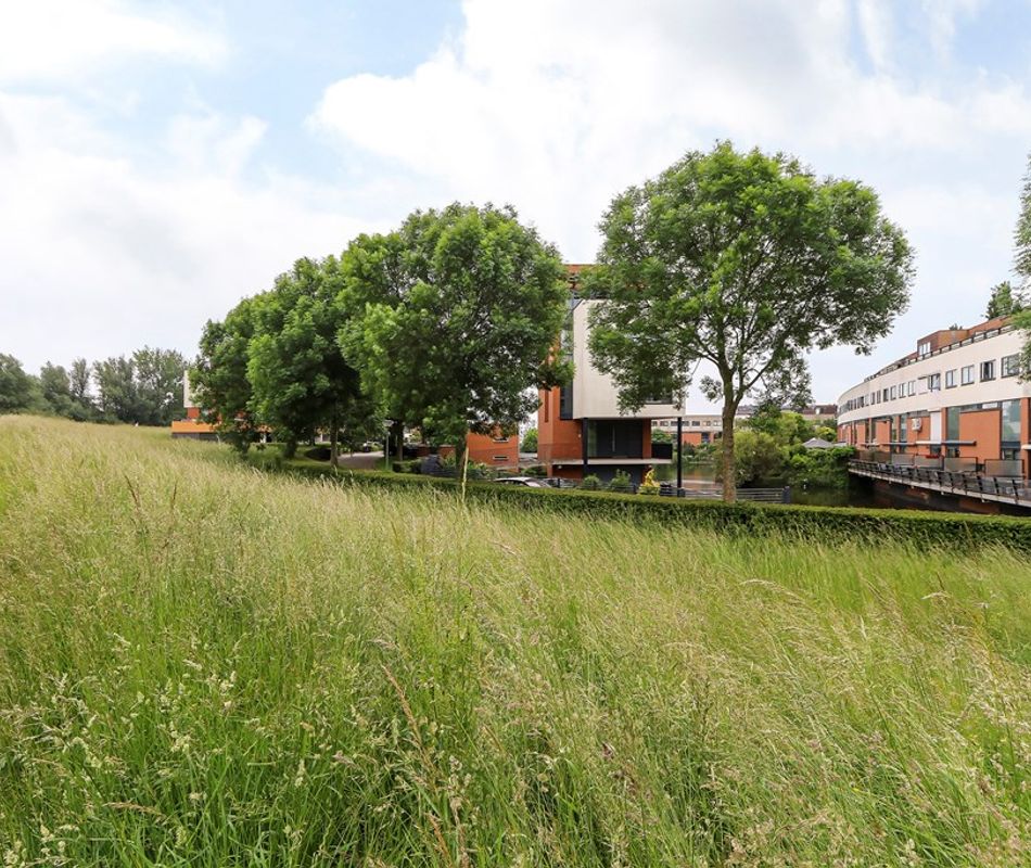 Balsa 196, Dordrecht