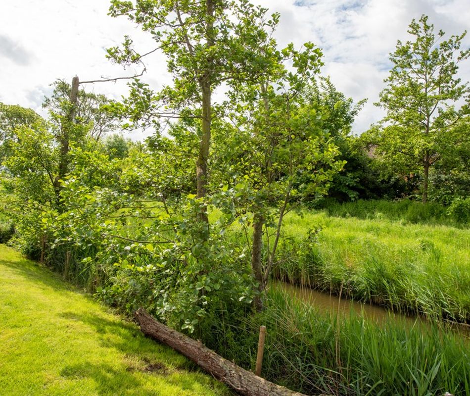 Welgelegen 8, Burgerbrug