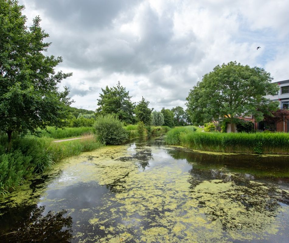 Scheldestraat 72, Alkmaar