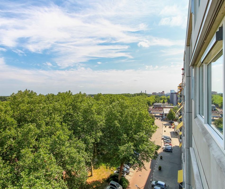 Thomas Mannplaats 476, Rotterdam