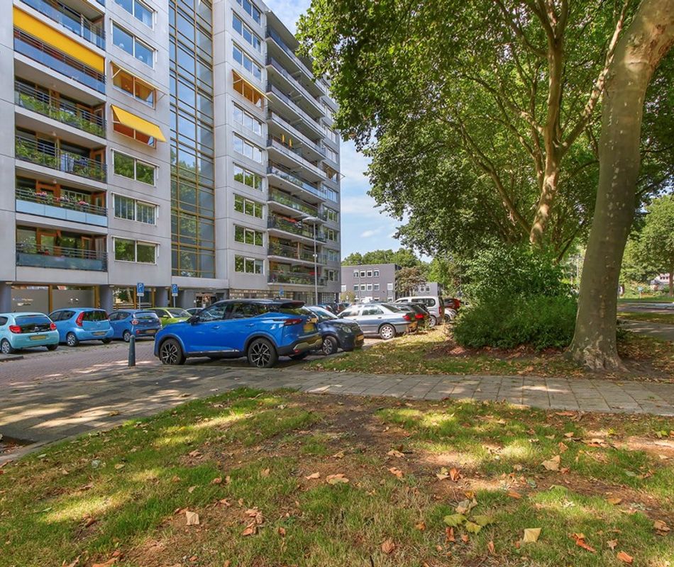 Thomas Mannplaats 476, Rotterdam