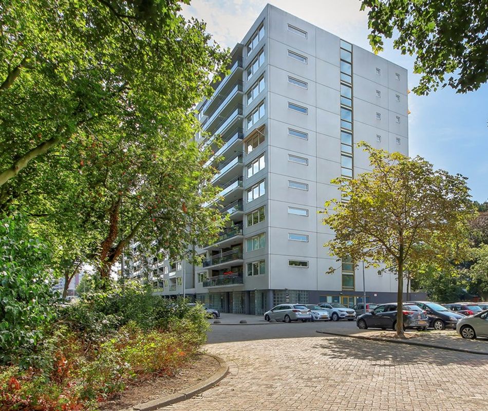 Thomas Mannplaats 476, Rotterdam